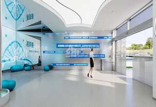 广东真空封盒机供应商