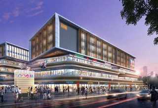 武鸣西柚黄龙病