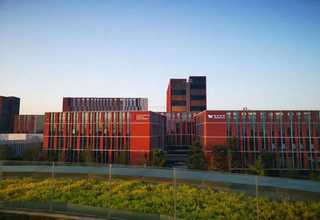 宁都幼师专业就业情况